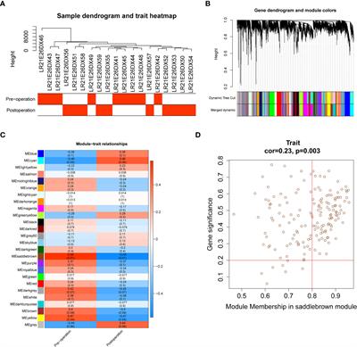 Investigating the change in gene expression profile of blood mononuclear cells post-laparoscopic sleeve gastrectomy in Chinese obese patients